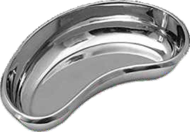 Kidney Tray 8 Inch
